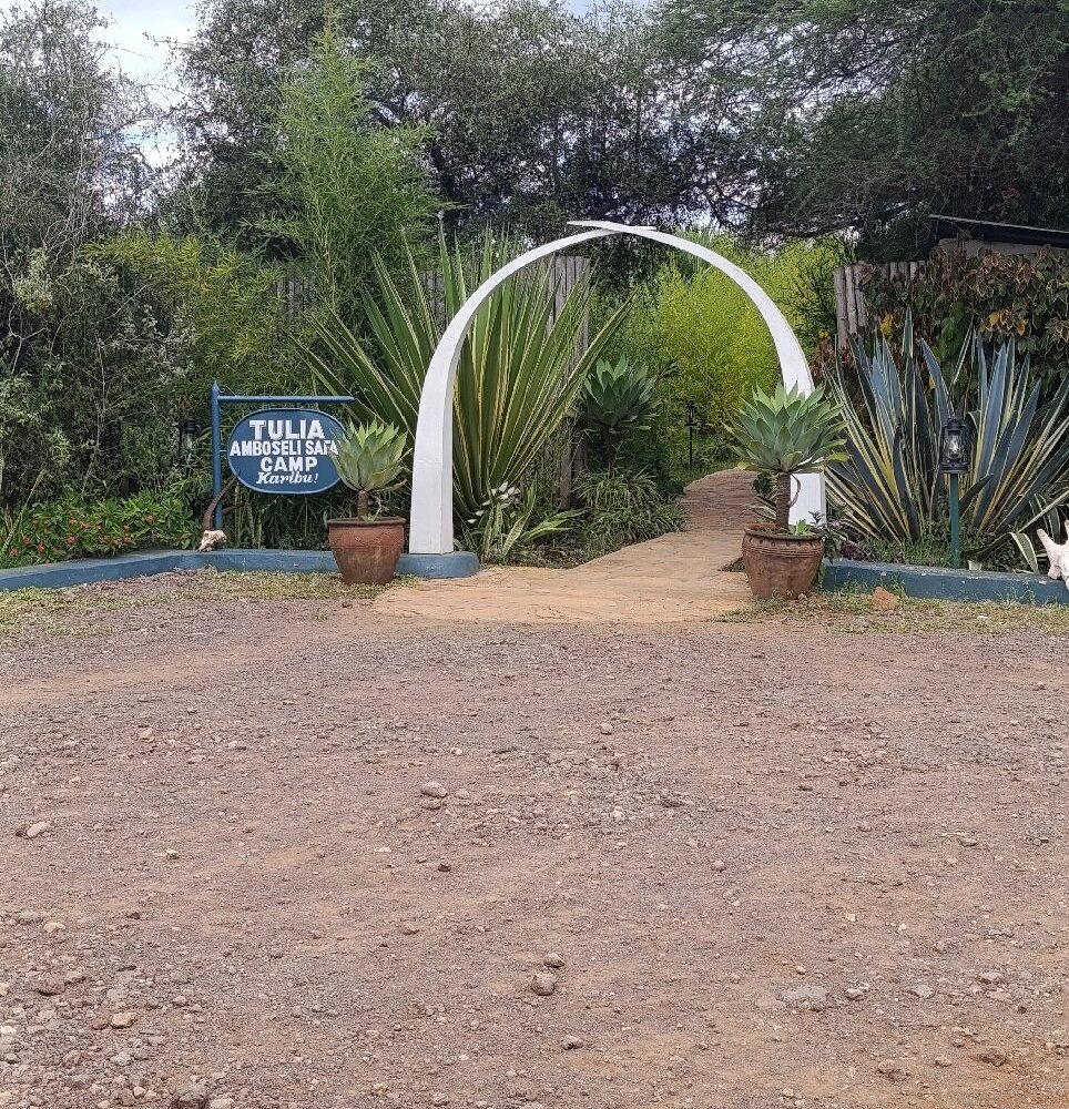 Tulia Amboseli Safari Camp