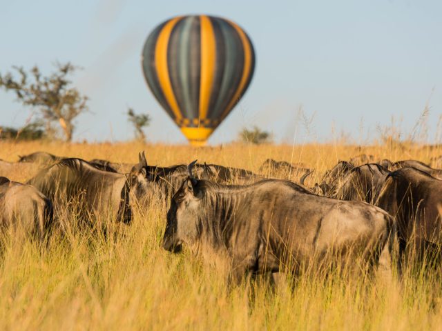 THE ULTIMATE BALOON EXPIRIENCE